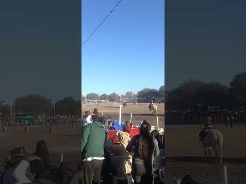 Jinetiada en Colonia Dora Sgo. del Estero😅😎🐎🐴👏👏