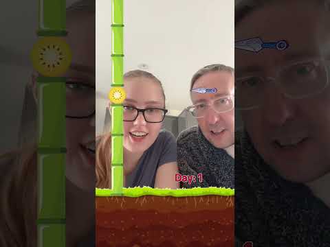 Can we do it? 😃#filter #tiktokfilter #filterchallenge #dartsfruit #dadandcloshow