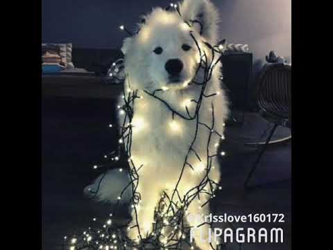 Hogland x Lucas Estrada - The Edge (ft. G. Curtis)