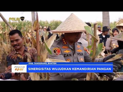POLRES METRO TANGERANG KOTA LAKSANAKAN PANEN RAYA JAGUNG