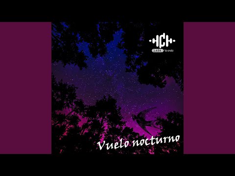 Vuelo Nocturno