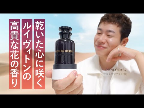 園芸 ラージワイルドチャービル、ムスクチャービル、パーペチュアルチャービル、フレグランスミルラ、ジャコウシダ