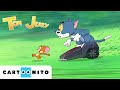 TOM VE JERRY Çifte Sorun YENİ Çizgi Film CartoonitoTurkiye