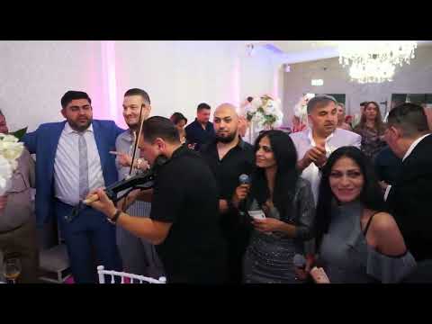 Dragan Gurbet , Dalibor Francuz i Barbike mix da Puca / Svadba u Becu 2024