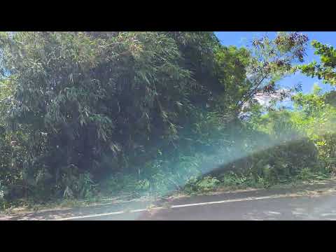 恆春鎮-德和段農地出售 第1張共16張