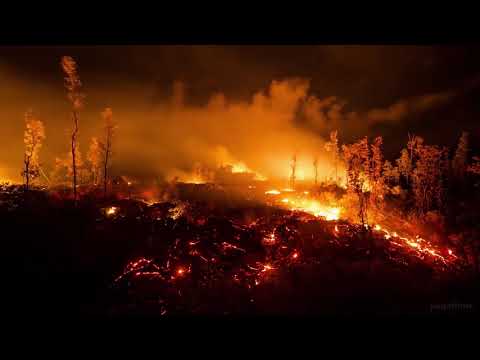 LA ESENCIA DE CHUKY - SECANO DEL LEVANTE