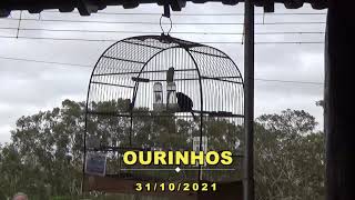 CAMPEONATO ESTADUAL FEBRAPS 2021 - OITAVA ETAPA - OURINHOS - SP