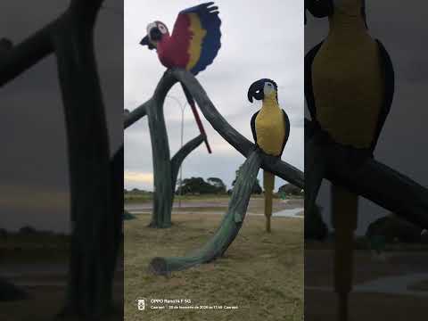 Caarapó MS  #artesanato #matogrossodosul #estatua #viajem