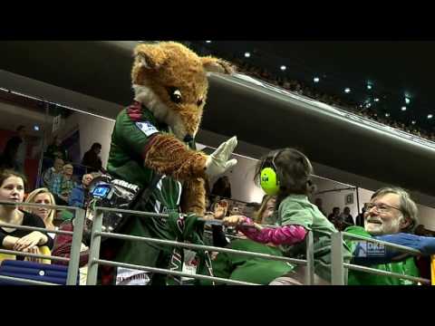 TOPSPIEL - Wenn Füchse Zebras jagen!!!