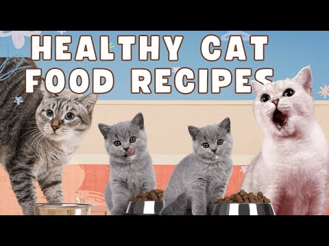 5 Homemade Healthy Cat Food Recipes for a Happy Feline | Easy DIY Meals & Treats