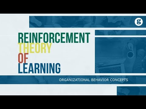 What is Organizational Behavior