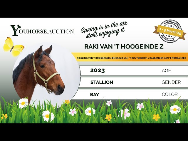 Raki van 't Hoogeinde Z