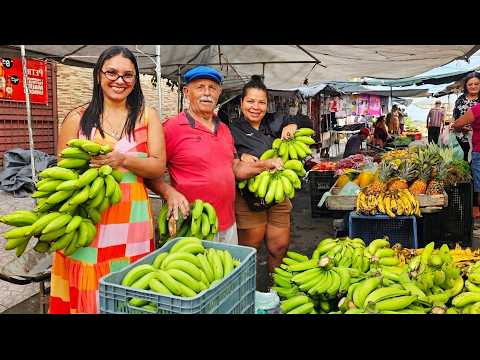 FEIRA DA AGRICULTURA FAMILIAR EM LAGOA DOS GATOS-PE