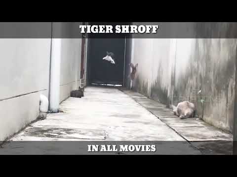 Tiger Shroff STUNTS in all movies || ft.Cat escape stunts