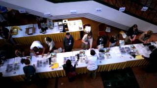 Rural Futures: Up to Speed