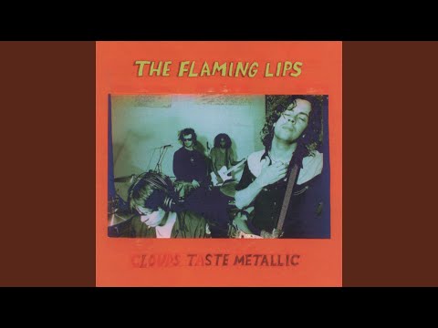 They Punctured My Yolk - The Flaming Lips