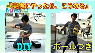 【どう森】実況 （実際にやってみた）「ボールつく＆DIY」