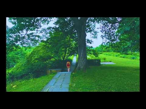 Trail Tour: The Old Bridge Road, Concord, Massachusetts