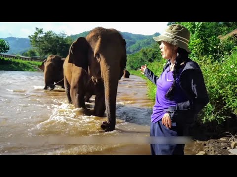 アミラ・ポーチャーは1月から「プロミネント!」に出演します。