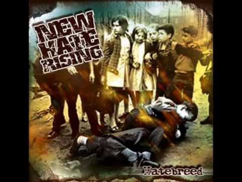 New Hate Rising - Not Of the Same Kind feat Hannes of Make It Count/Seconds Out