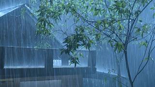 (No Ads) Heavy Rainstorm & Giant Thunder Sounds | Stormy Night Ambience for Deep Sleep & Calm Mind