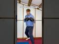 How To Beat A TAEKWONDO Fighter