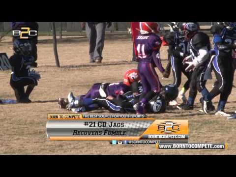 B2C: #1 North Henry vs #3 Central Dekalb - 6U