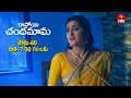 Ravoyi Chandamama Latest Promo Episode No 1124 26th November 2024 ETV Telugu