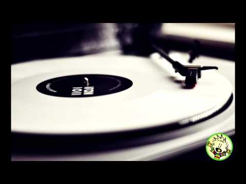 David Guetta-Shot me down VS Martin Garrix-Animals~