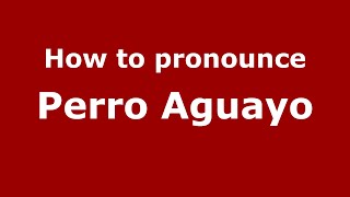How to pronounce Perro Aguayo