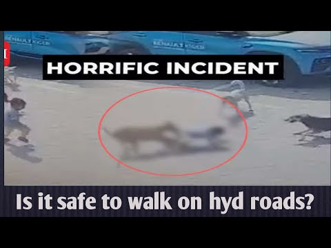 Street Dogs Attacks|Daily-News-Feb22