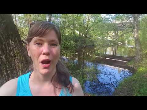 Reija Lammi - English introduction to Saga of the Heart teachings