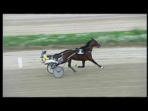 Napoli Trotto 19/11/2021 - prova di riqualifica