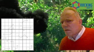 Lost in the Intricacies of a Puzzle