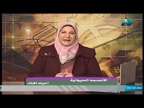 أحياء لغات الصف الأول الثانوي 2020 ترم أول الحلقة 18 - الأنسجة الحيوانية