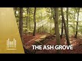 The Ash Grove | The Tabernacle Choir