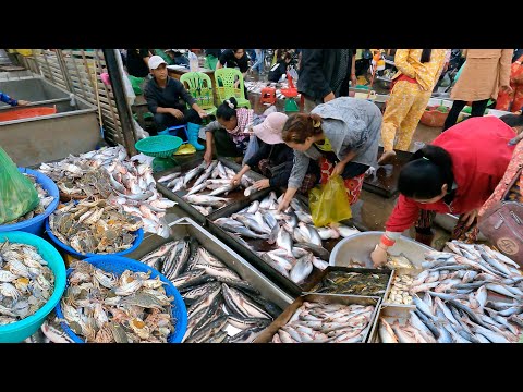 Most Popular Wholesale Fish Market - Amazing Fish, Lobster & Seafood Distribution Site - Fish Market