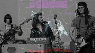 The Seeds -  Pushin&#39; Too Hard -  Lyrics