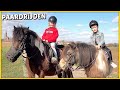 KiDS GAAN PAARDRiJDEN ? & MORGEN GROOTS NiEUWS! ? | Bellinga Vlog #2024