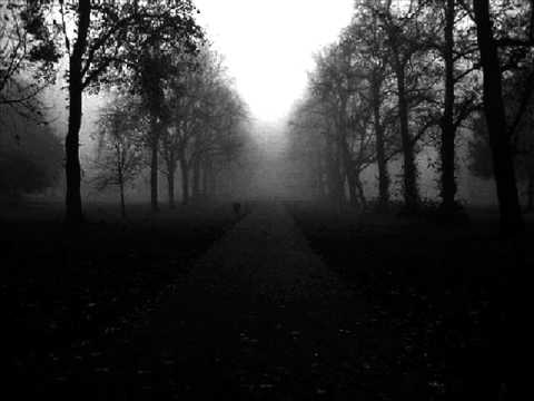 Down - Learn From This Mistake with lyrics