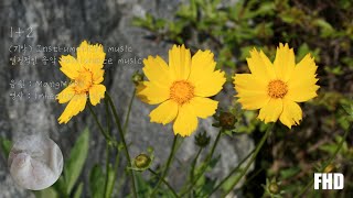 열정적인 음악 Passionate music (1+2 (기악) - MangMARU)