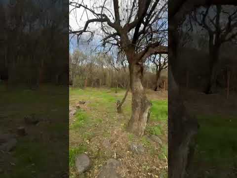 LOTE LOS MOLLES SAN LUIS