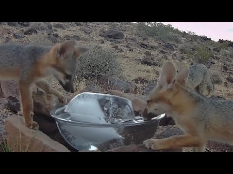 И как забрать этот ледяной камень с собой?