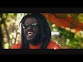 100 Reggae Culture VIDEO MIX Duane Stephenson Chronixx Richie Spice Queen Ifrica Sizzla