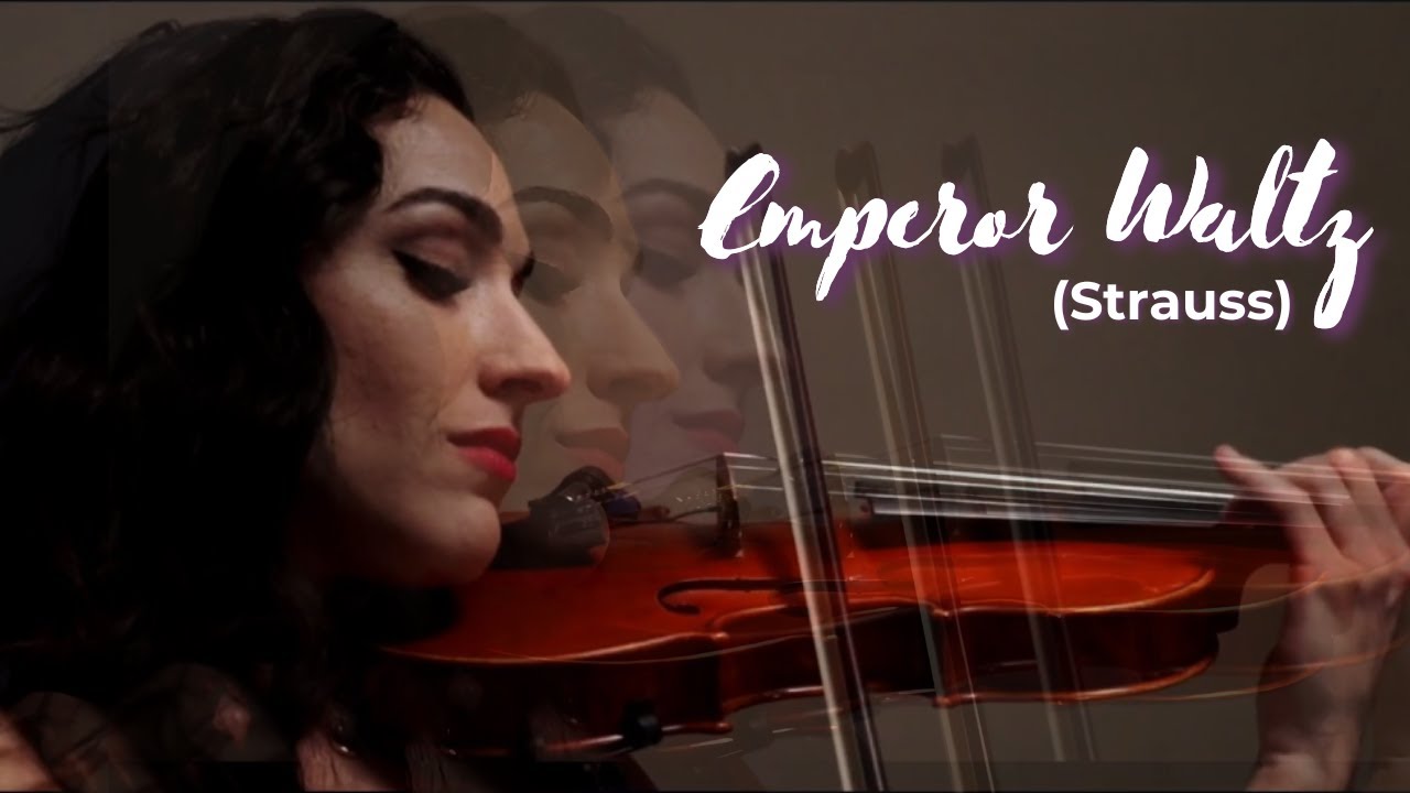 Promotional video thumbnail 6 for Organic String Quartet