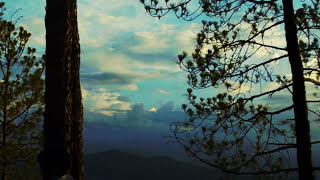 Kosmikbloom - Everchange (Official Music Video)