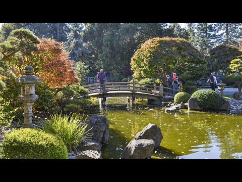 The Japanese Tea Garden. San Mateo. California, USA