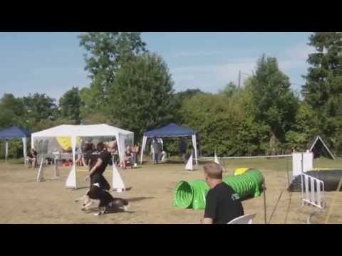 Vanessa Kohler & Laurie  A 1    -     2  Pfotenpowerturnier in Lauffen am 6 7 2014