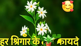 सभी दोस्तों को हैप्पी करवा चौथ की जी के गार्डन के साथ#gkgarden #garden #viral #gardening #viralvideo
