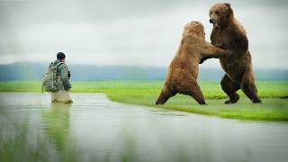Near Death in Bear Country! MQDEFAULT Thumbnail